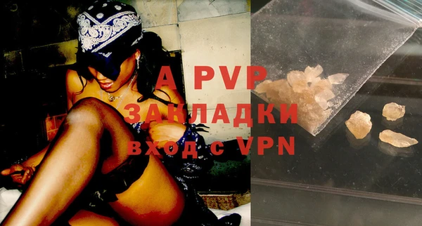 ешки Арсеньев