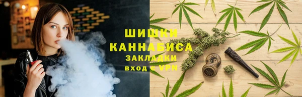 ешки Арсеньев