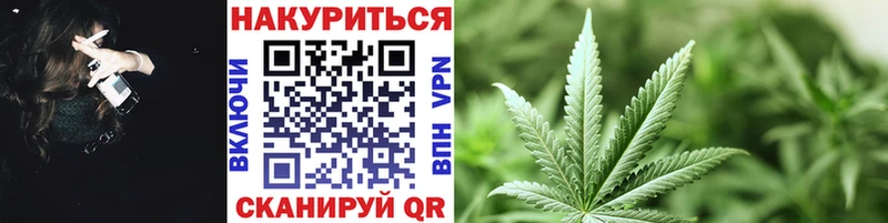 Бошки Шишки ГИДРОПОН  Купить  Новая Усмань 